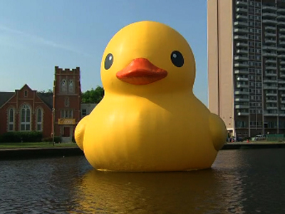 the rubber duck