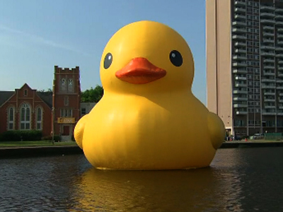 Giant inflatable ducks return to Belfast Harbor in Maine for a third year
