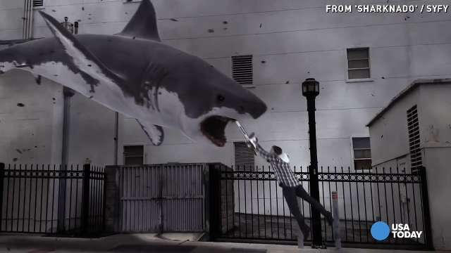 Sharknado 2 set to attack viewers tonight, Archives