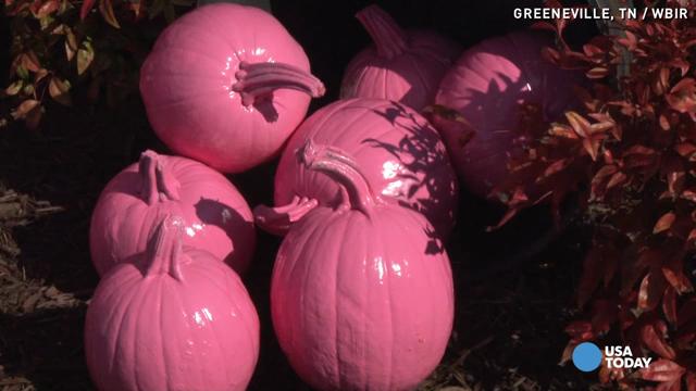 Hear Why This Yard Is Covered In Pink Pumpkins