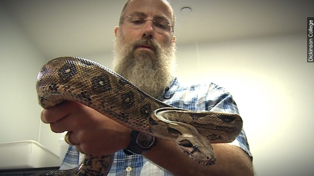 Red-tailed boa found dumped in Missouri conservation area