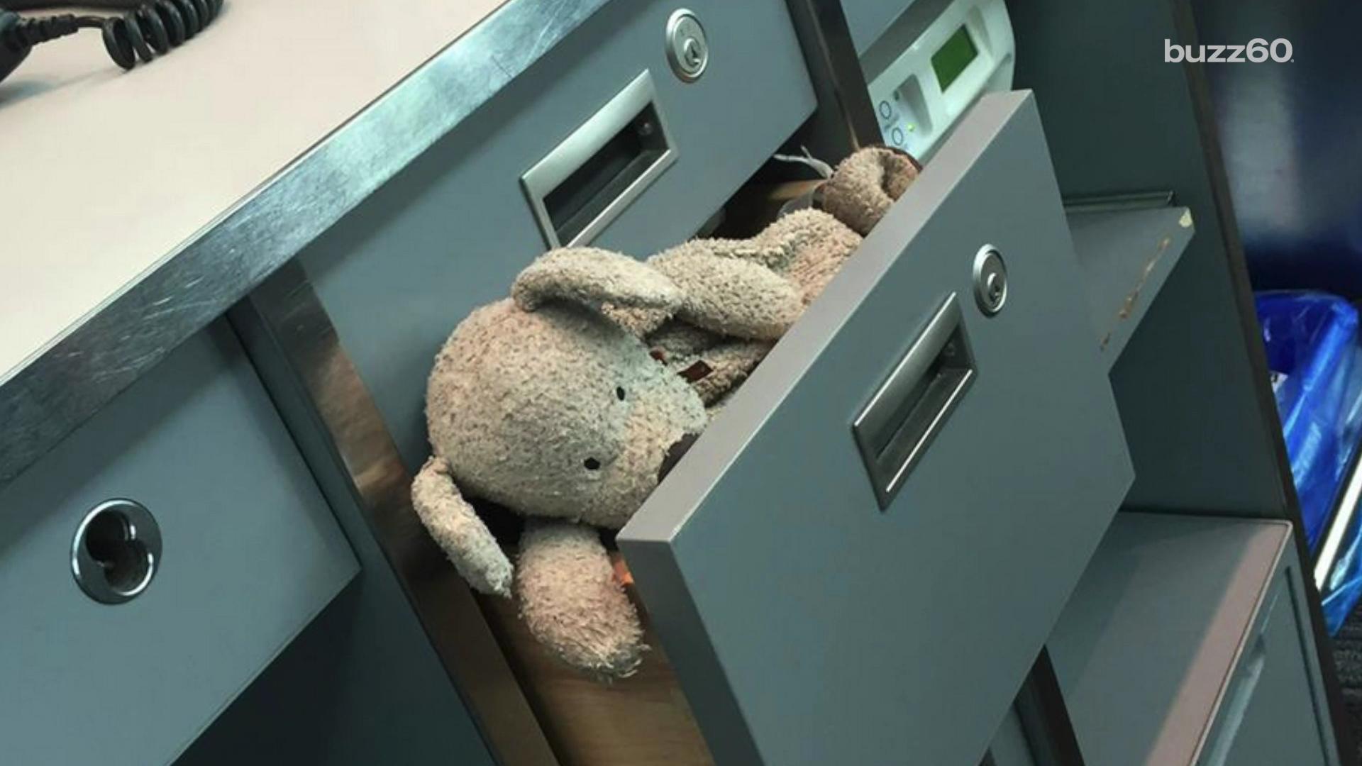 lost stuffed animal