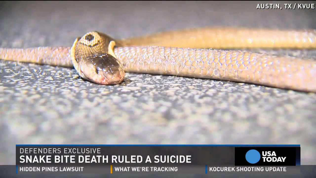 8-Year-Old Boy Bites Cobra Twice After Attack, Kills It: Report