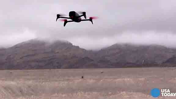 Drone Rodeo shows off the latest tech