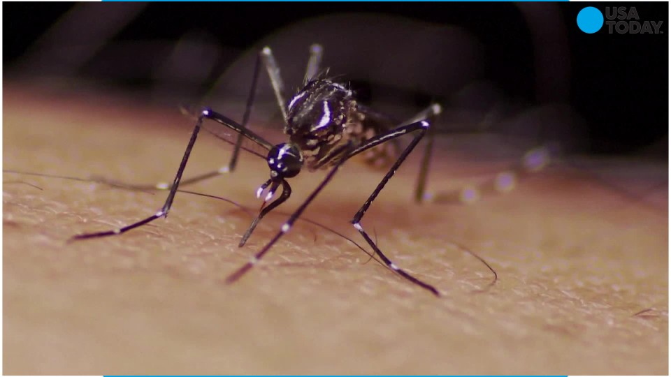 Mosquitoes are spreading a rare virus
