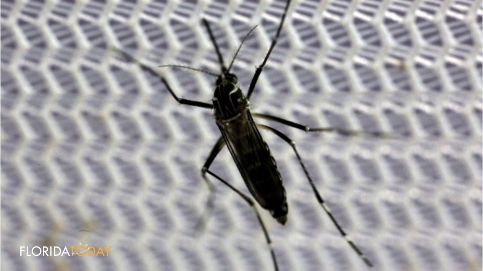 Brevard Prepared to Fend Off Zika Virus