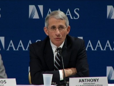 Fauci: US Transmission of Zika Expected