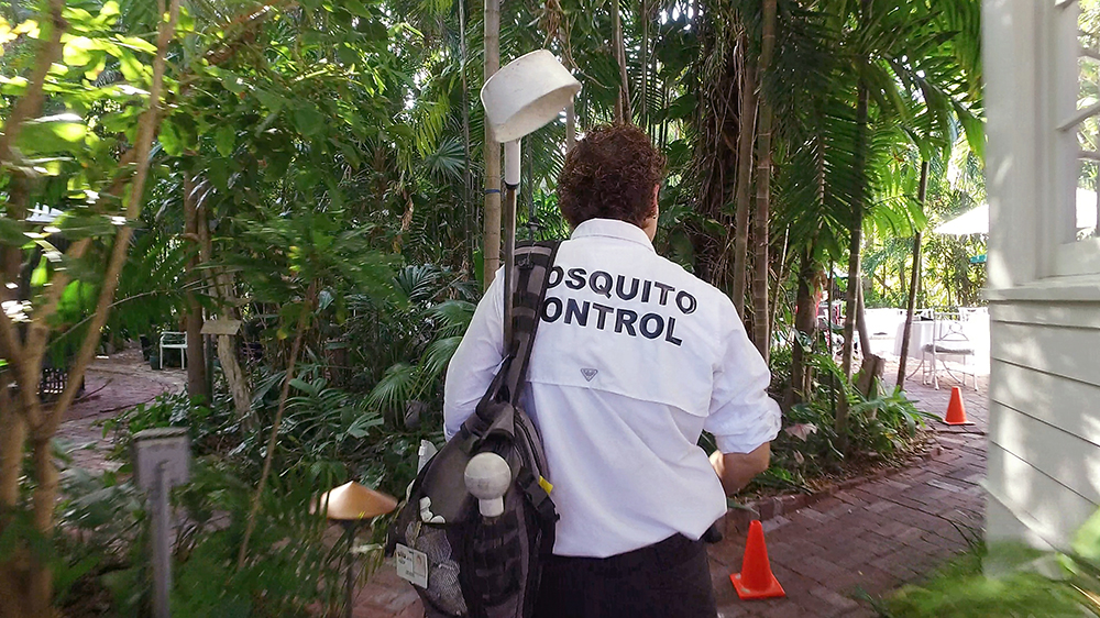 The fight against the Zika Virus starts with mosquito control