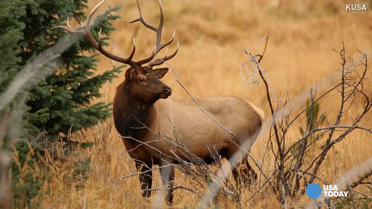 Rocky Mountain National Park is picture perfect