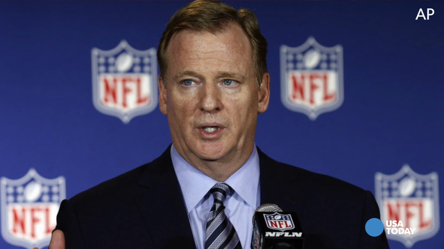 Roger Goodell's Wife Had Secret Twitter for Media Criticism