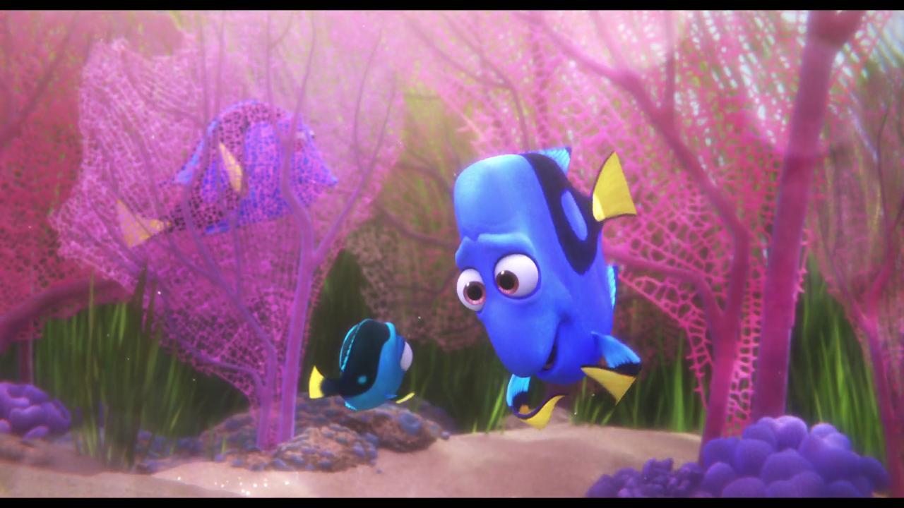 where can i watch finding dory online y