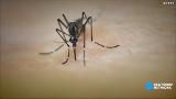 Zika cases growing in Florida