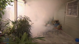 Raw: Mosquito Spraying in Miami