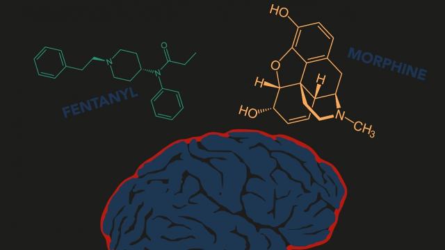 What makes fentanyl so dangerous?