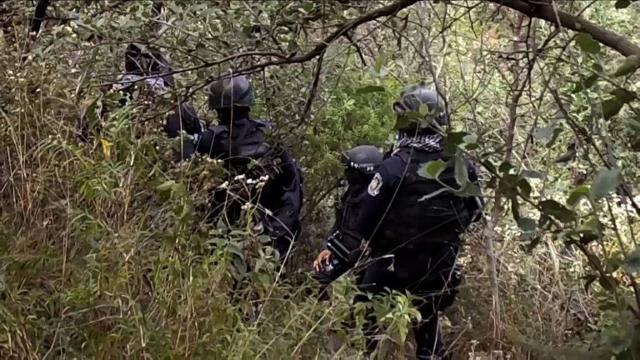 12 Bodies Found In Clandestine Graves In Mexico