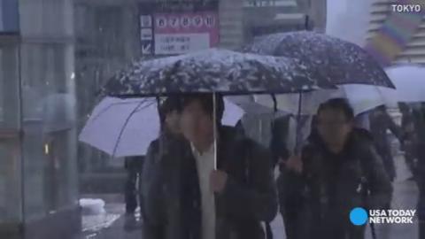 Snow Falls in Tokyo for the First Time in November Since 1962