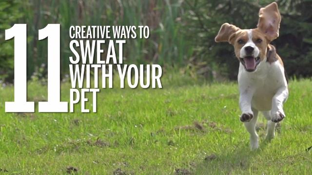 11 Creative Ways to Sweat With Your Dog