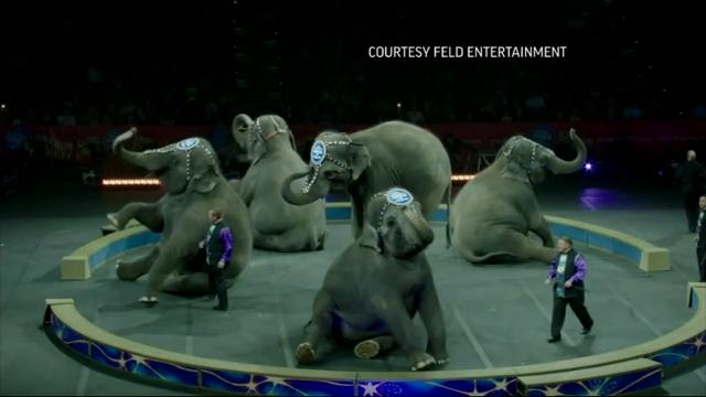 Why seeing circus elephants will soon be over in New York