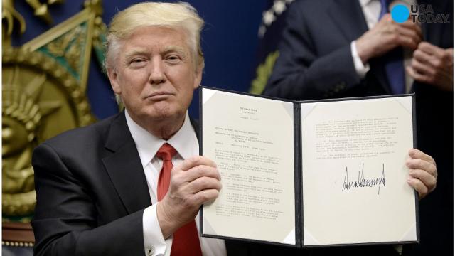What You Need To Know About Trumps Immigration Plan
