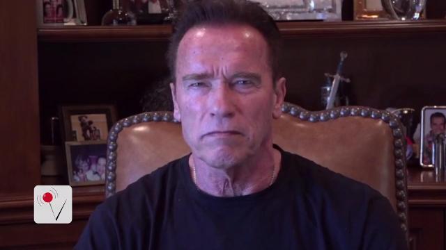 Arnold Schwarzenegger Fights Back At Trump After Twitter Jabs 3930