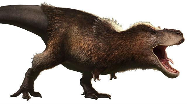 The real T. Rex may have a feathered body, scaly-face and lips