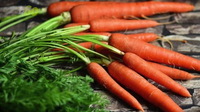 How to Wash Vegetables by Type, According to Food Safety Experts