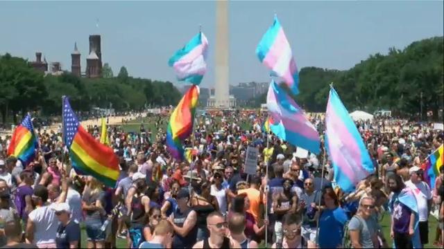 florida gay pride parade riot