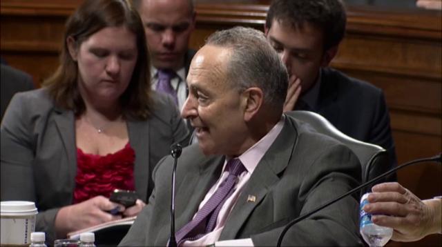 Senate panel Oks Dems gun background check bill