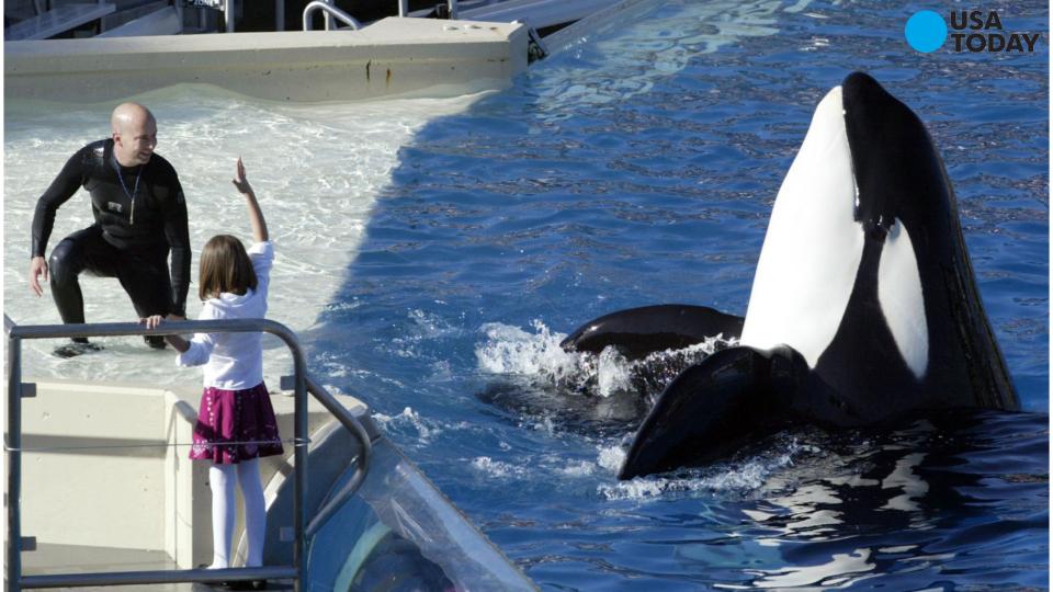 SeaWorld Orca tank expansion approved