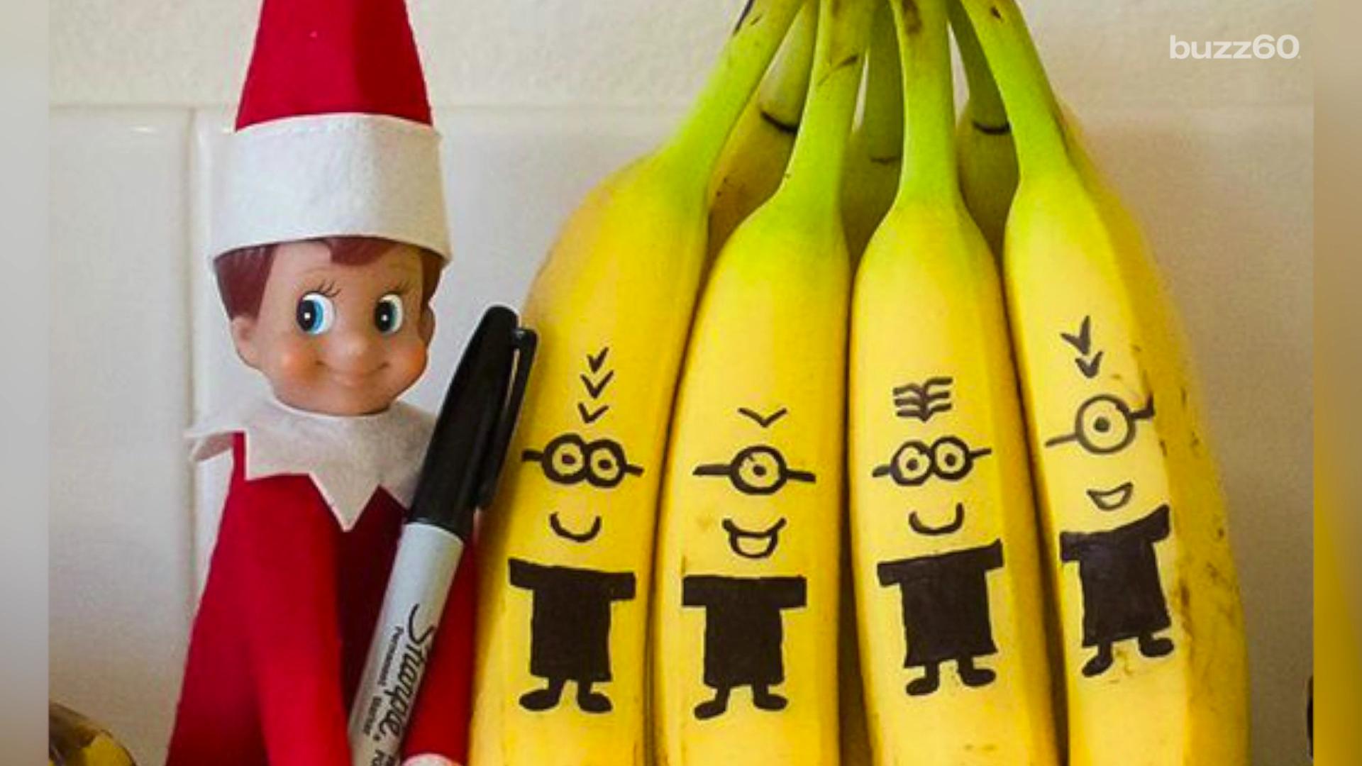 Naughty Elf On The Shelf Poop Cover Photo