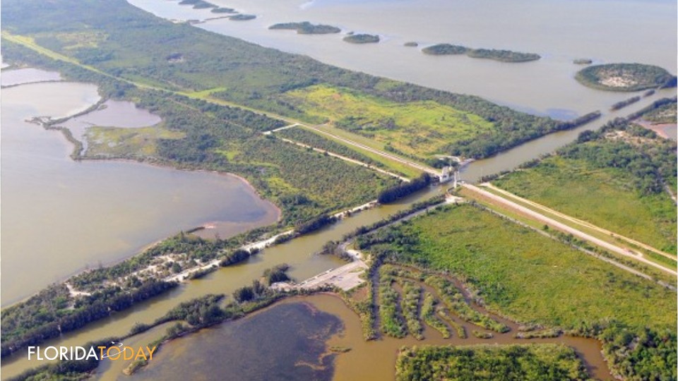 Brown Tide Returns to Indian River Lagoon