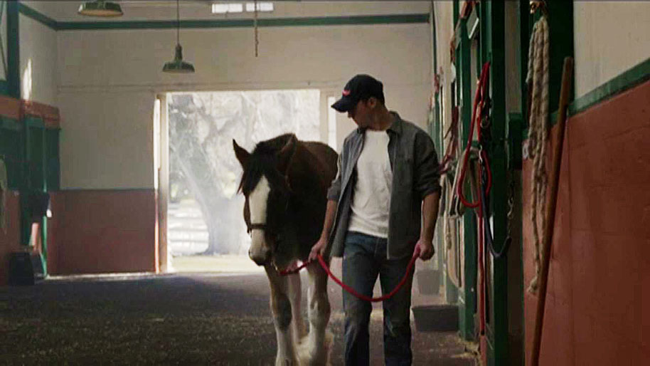 The Budweiser Clydesdale (and his Buddy) are Back!