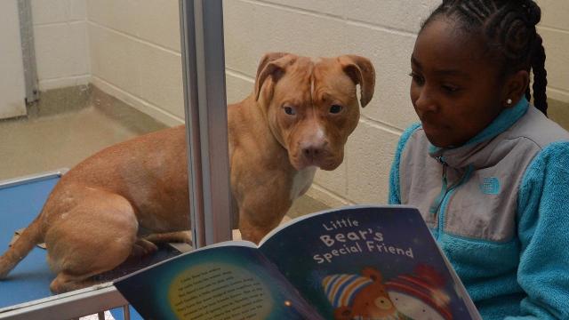 Kids read to shelter dogs for holiday event