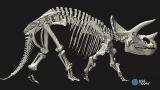 New study could shake up the dinosaur family tree
